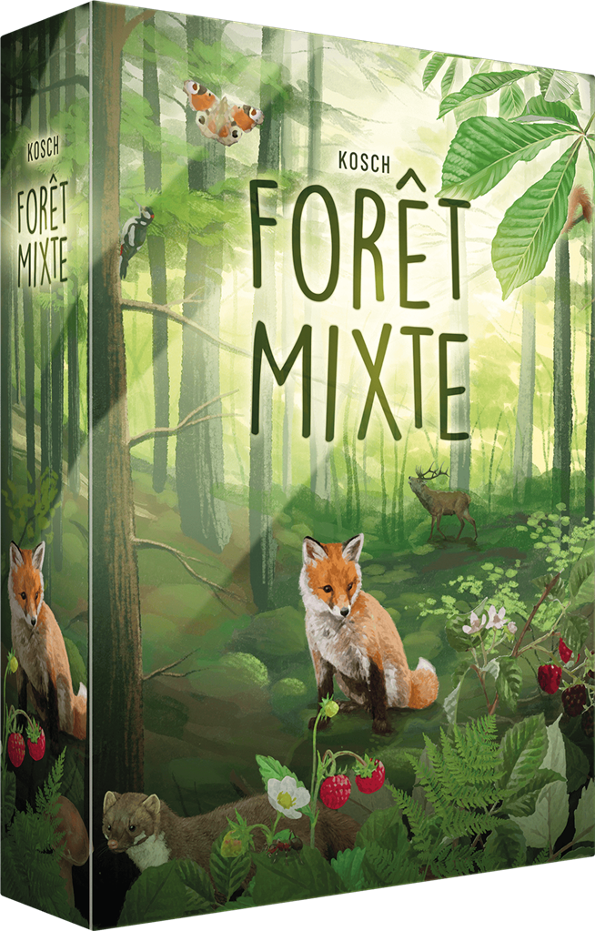 Forêt Mixte Ludiky Jeux Andrézieux Saint Etienne Loire 42